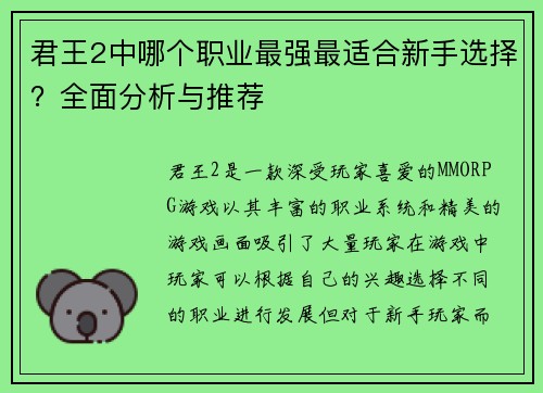 君王2中哪个职业最强最适合新手选择？全面分析与推荐
